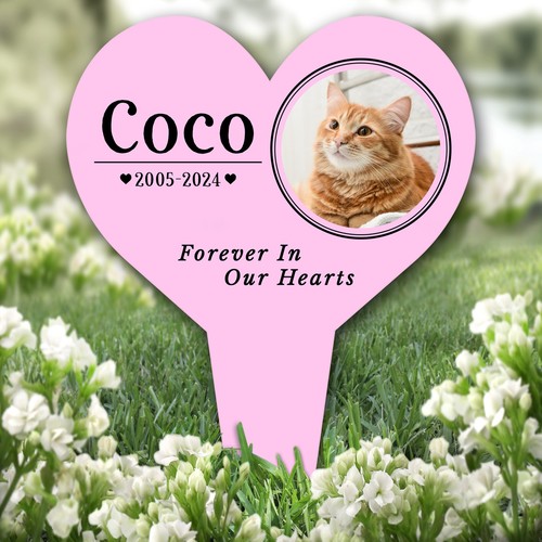 Heart any pet - heart,