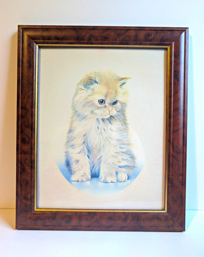 Vintage framed fluffy kitten - vintage,