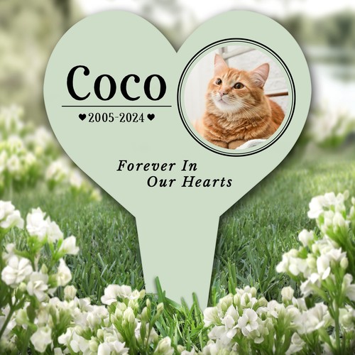 Heart any pet - pet,