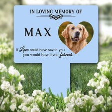 Heart Photo Frame Pet Blue
