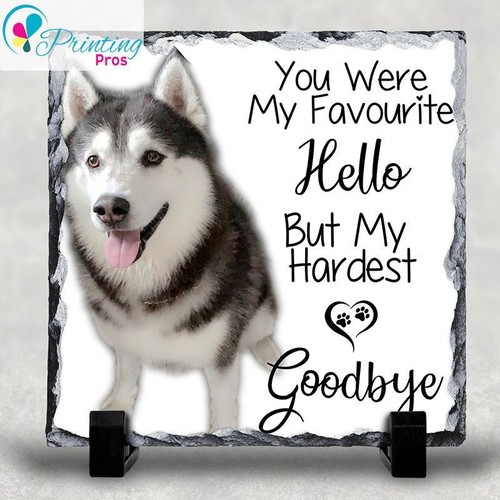 Personalised pet hardest - personalised,
