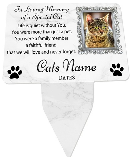 Cat photo personalised - cat,