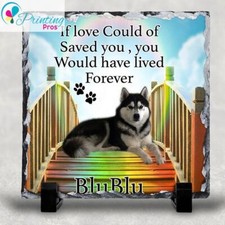 Personalised Rainbow Bridge
