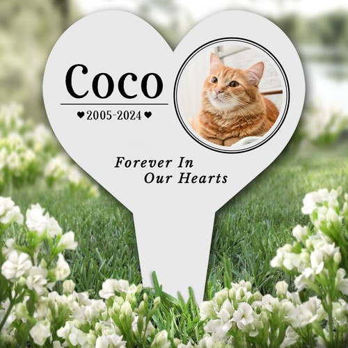 Heart any pet - pet, round